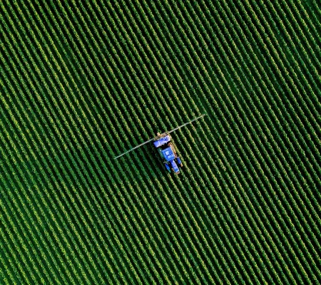 UAFP Analysis: Ukraine – The EU’s “trump card” in the global agri-food game