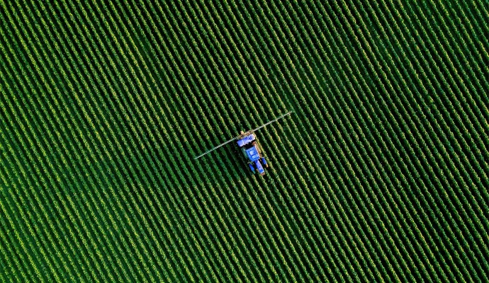 UAFP Analysis: Ukraine – The EU’s “trump card” in the global agri-food game