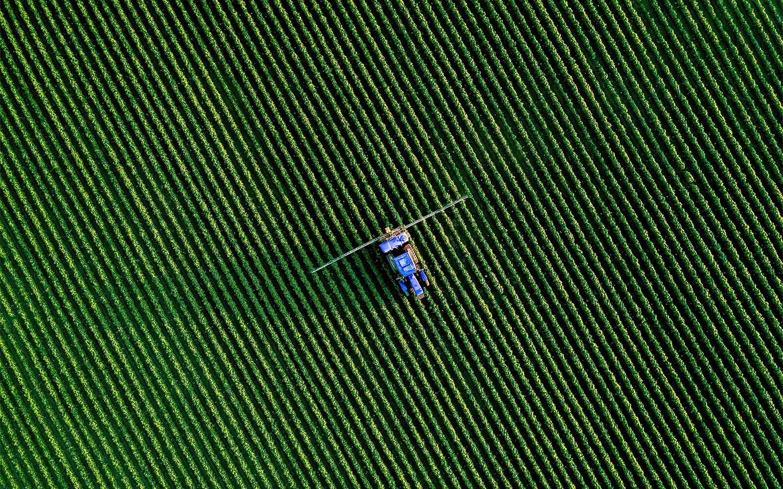 UAFP Analysis: Ukraine – The EU’s “trump card” in the global agri-food game