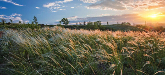 Agri-Food and Biodiversity